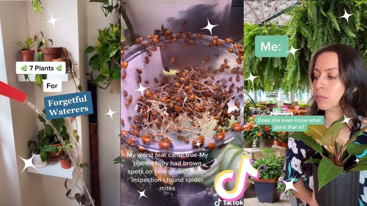 Planttok 🌱 Part 2 🌱  tiktok compilation