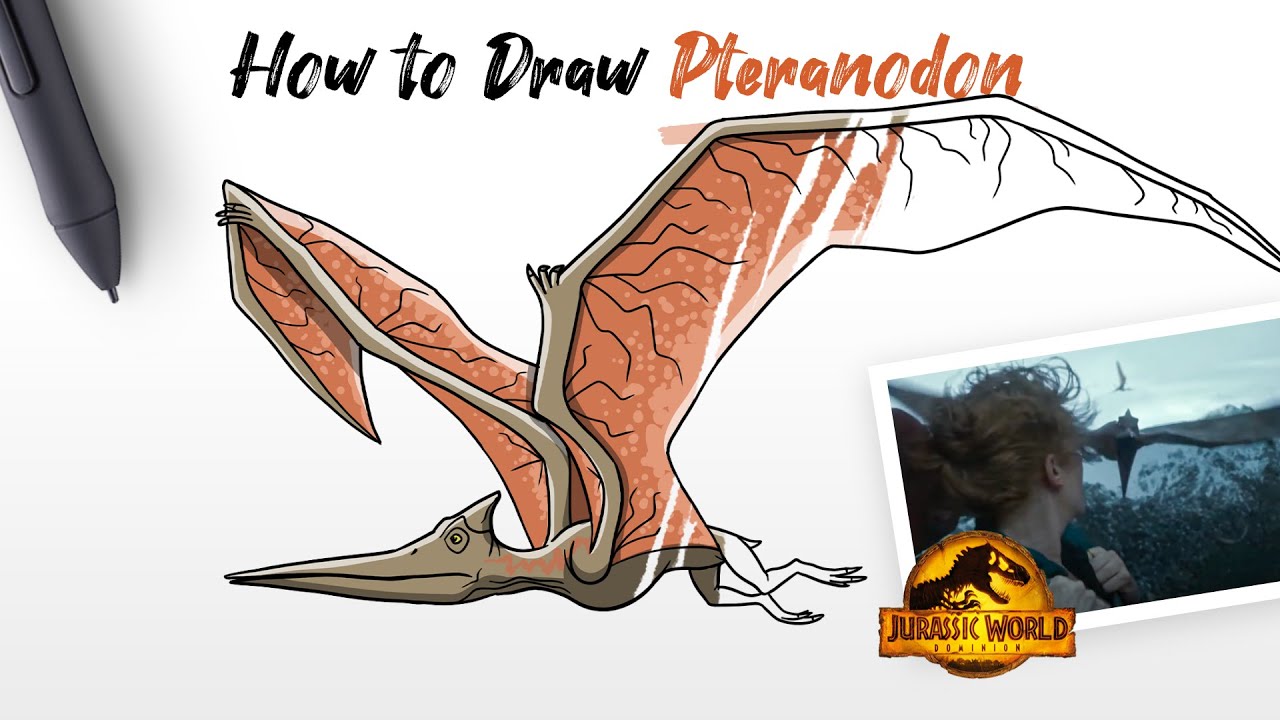 How to Draw Pteranodon dinosaur from Jurassic World Dominion movie Easy Step by Step