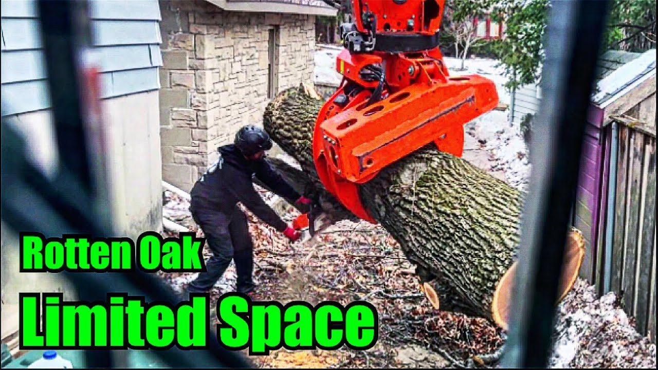 Extreme Tree Removal in Madison, WI | Tight Driveway by Camp Randall