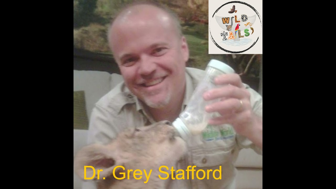 Episode 19: From SeaWorld to Zoo Logic with Dr Grey Stafford