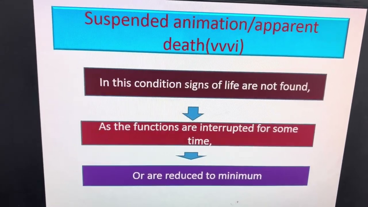 Definition of Suspended animation 