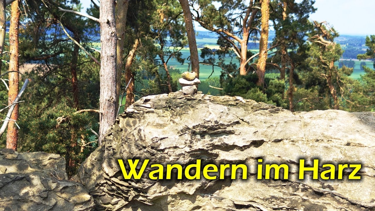 Wanderung im Harz - vom Hamburger Wappen zum Großvaterfelsen.