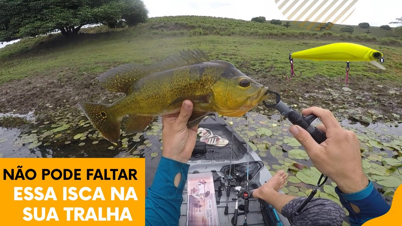 Isca raptor minnow essa não decepciona mesmo 👏🏻