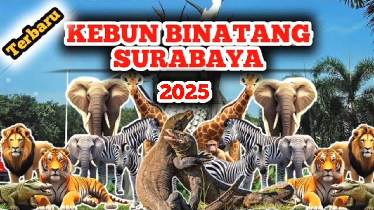 KEBUN BINATANG SURABAYA TERBARU 2025 | SURABAYA ZOO
