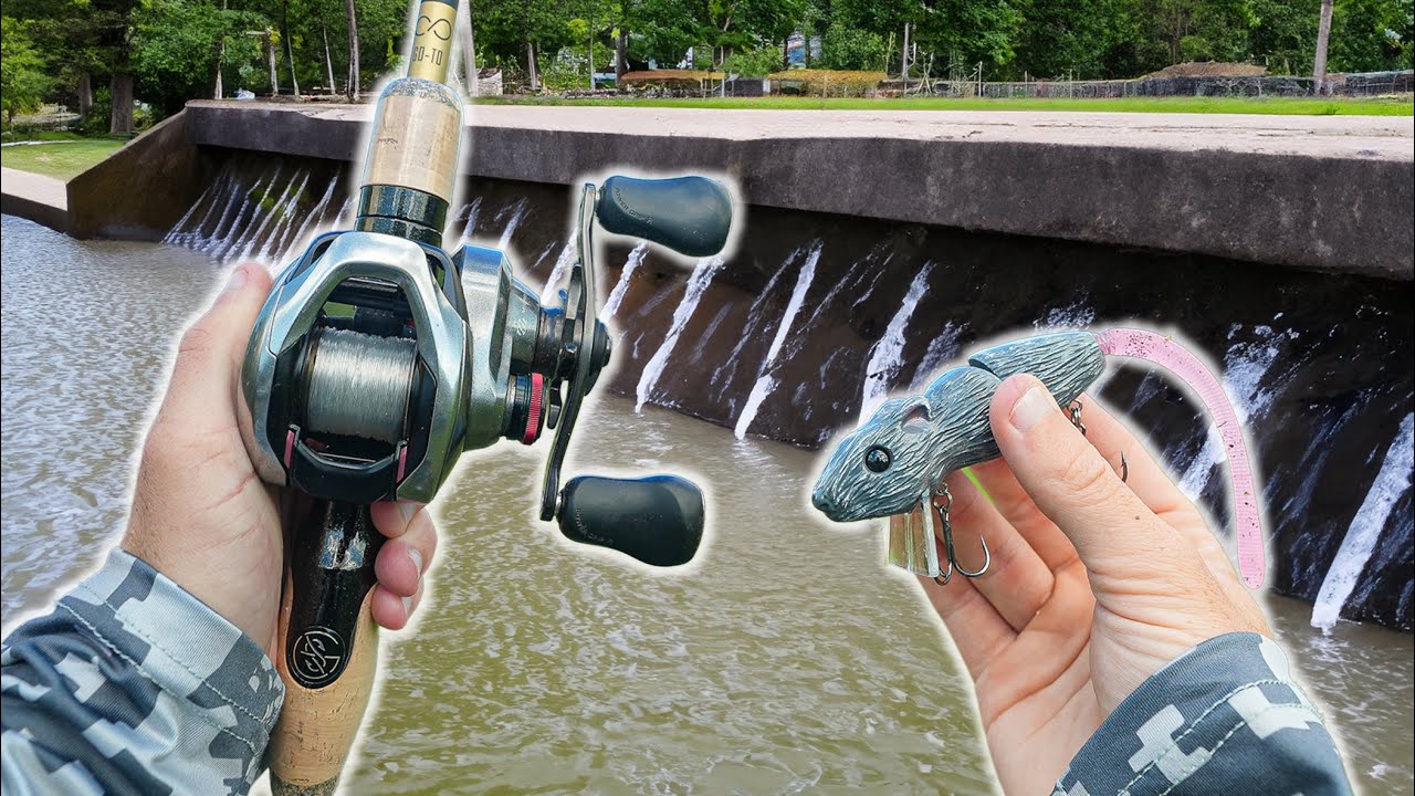 Fishing A URBAN Pond With A REALISTIC Rat Lure (Insane Action)