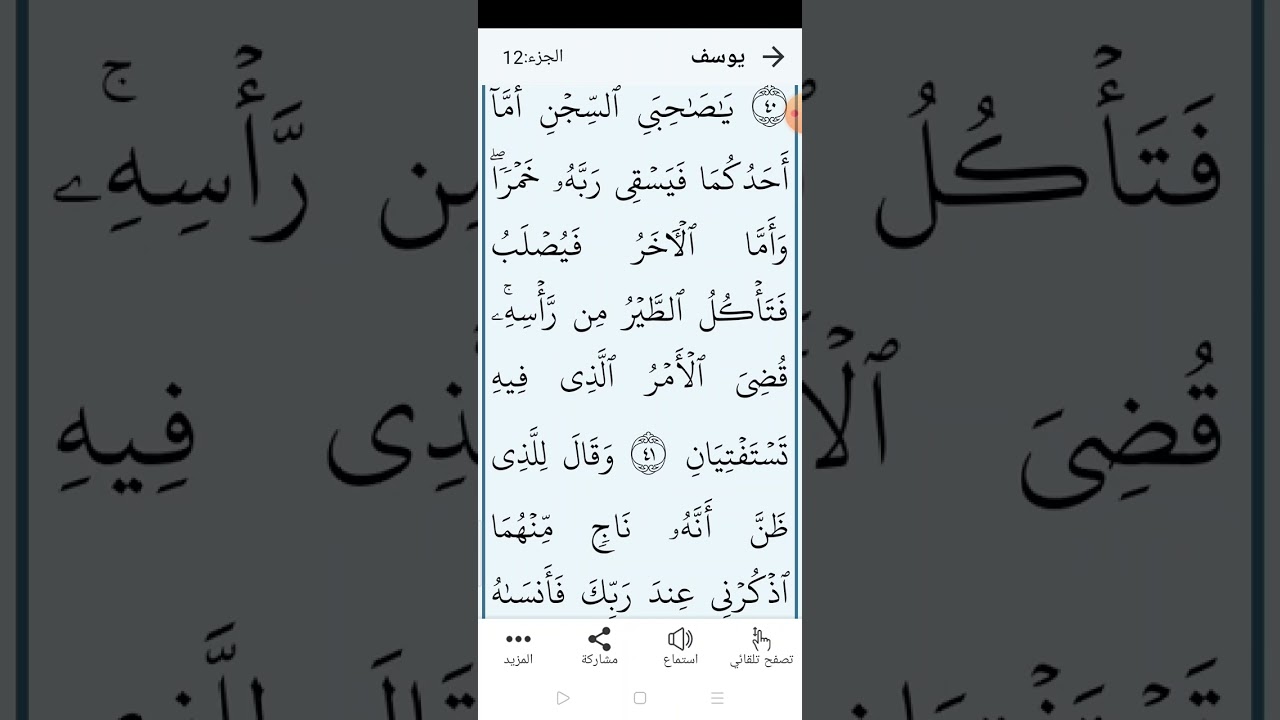 سورة يوسف صفحة (٢٤٠)