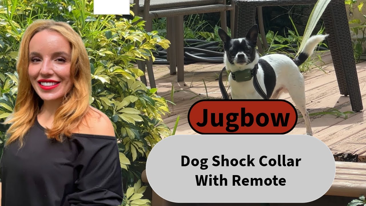 Jugbow Dog Training Collar With Remote Long Distance Vibration Sound