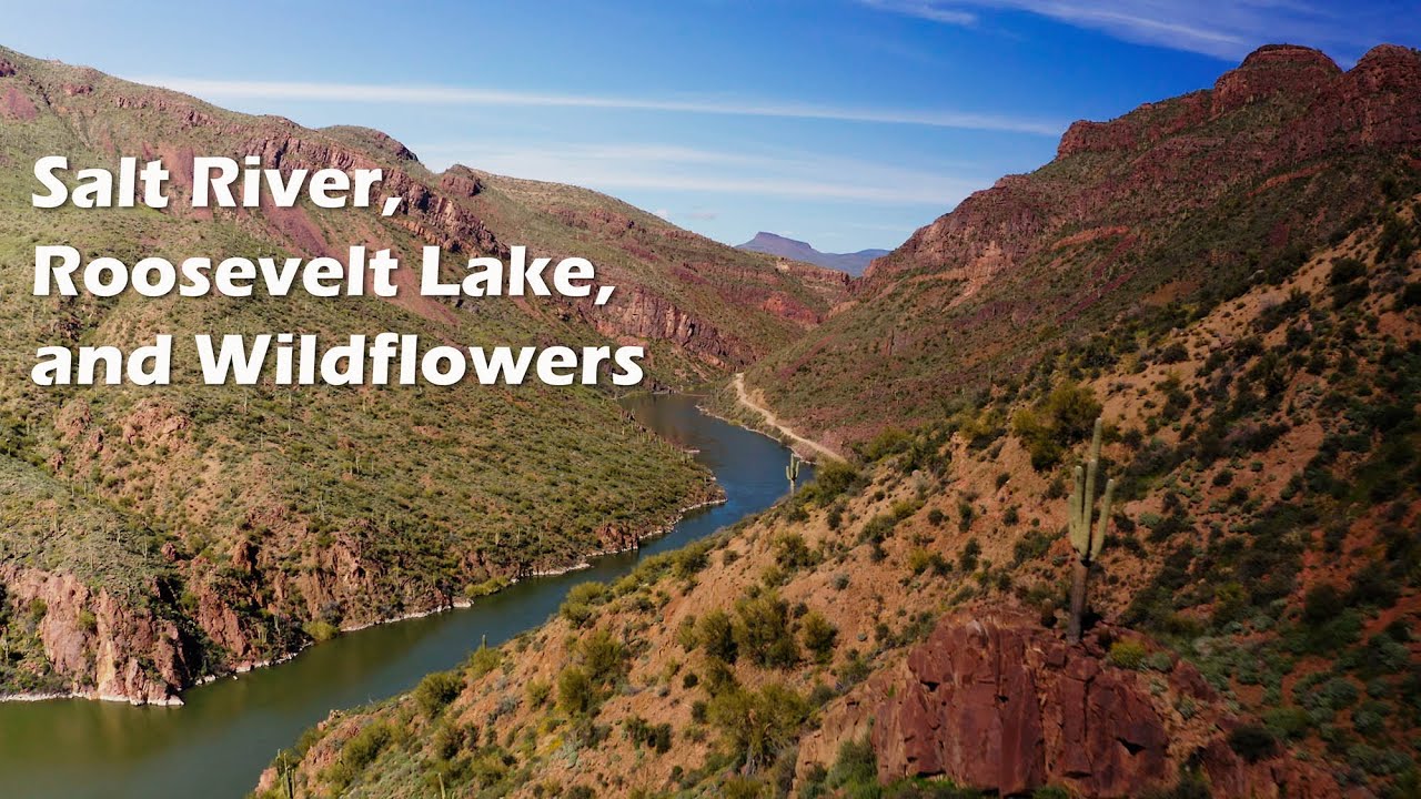 Salt River, Roosevelt Lake and Wildflower Super Bloom