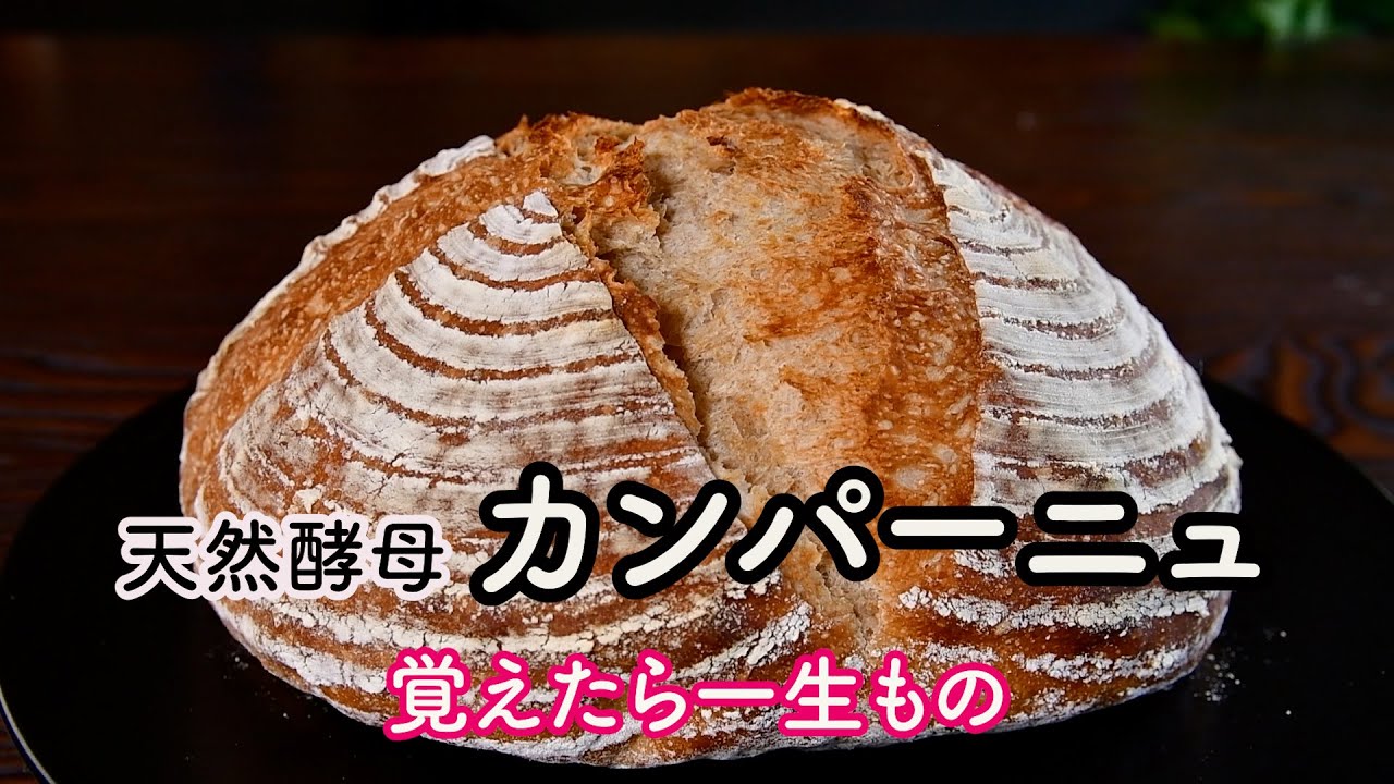 【天然酵母カンパーニュ】覚えたら一生もの｜元種を復活させる方法