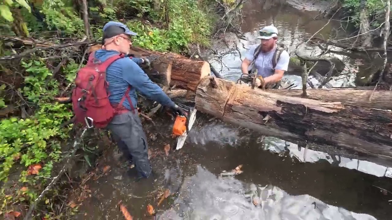 Brook Trout Restoration Project, Stream 2, Part 1 - 10-8-25