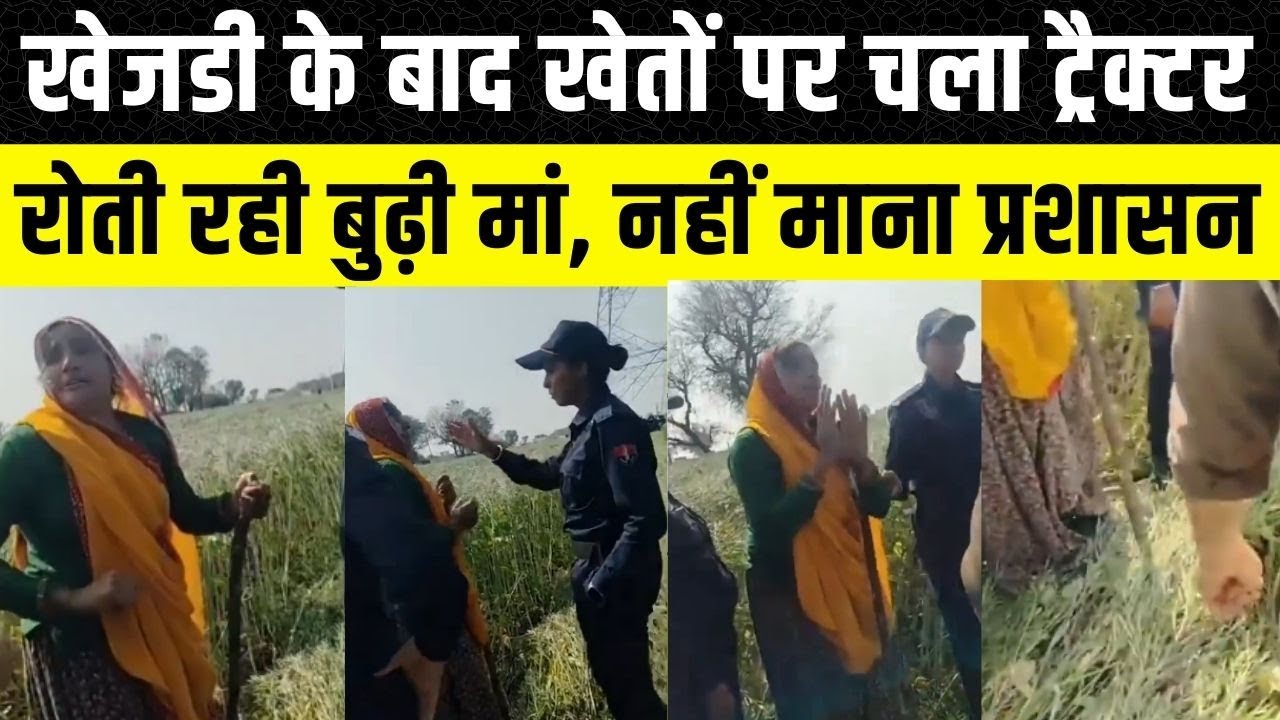 Rajasthan News: खड़ी फसल को अधिकारियों ने रौंद दिया, रोती रही बुढ़ी औरत का Video Viral | Chaksu