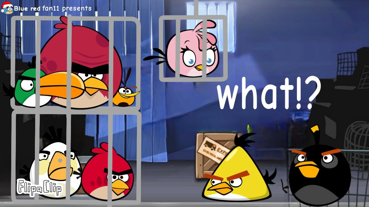 Angry birds Rio fan made video Nigel's plan #Angrybirds #rio 