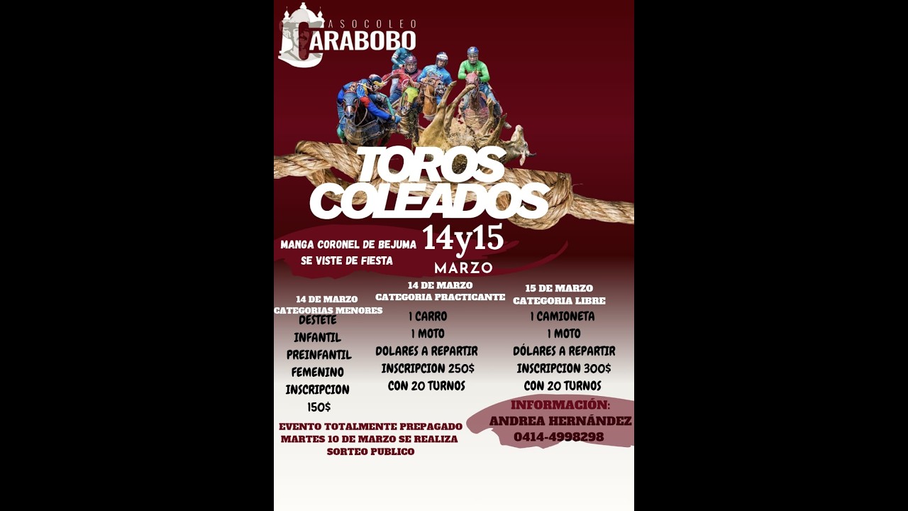 TOROS COLEADOS BEJUMA