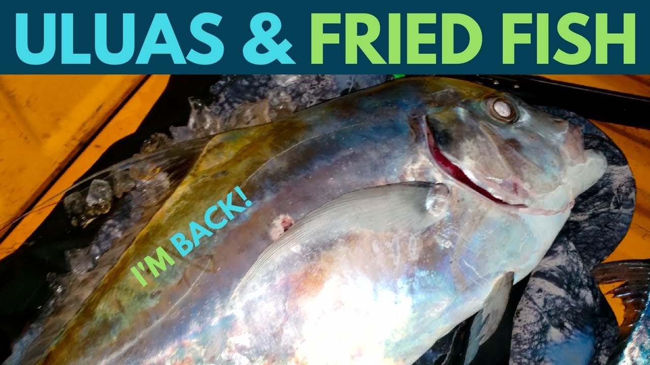 Spearfishing Hawaii: Uluas And Fried Fish! Catch And Cook Reef Fish! Ep.7
