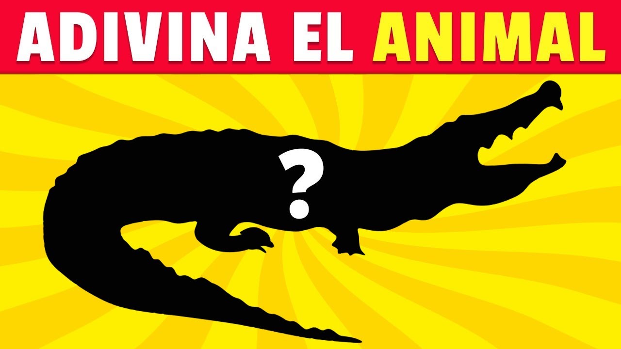 Adivina los Animales Por La Sombra 🦁🐺✅Quiz de Animales