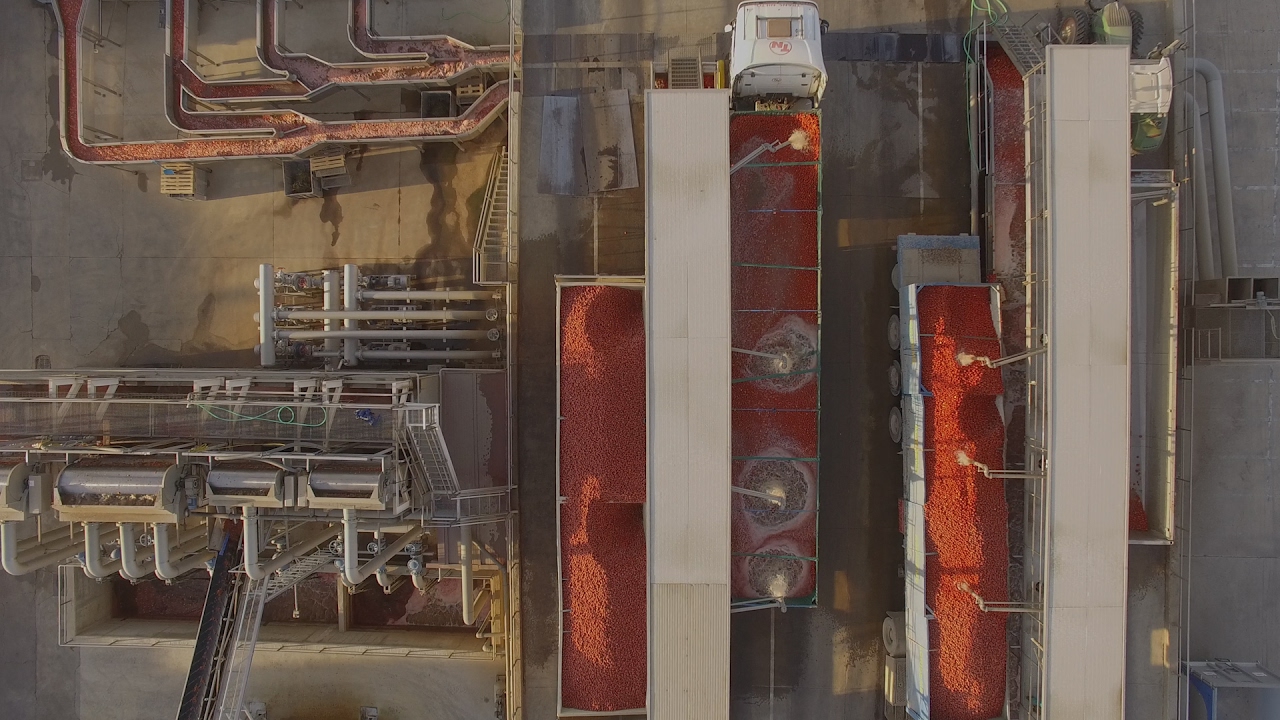 Ing. A. Rossi: storia di un'azienda