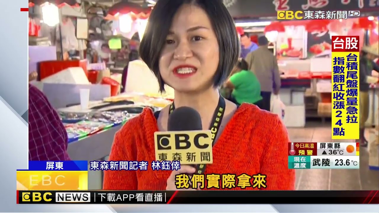 透抽、軟絲、花枝分不清？ 體型價位都不同@newsebc
