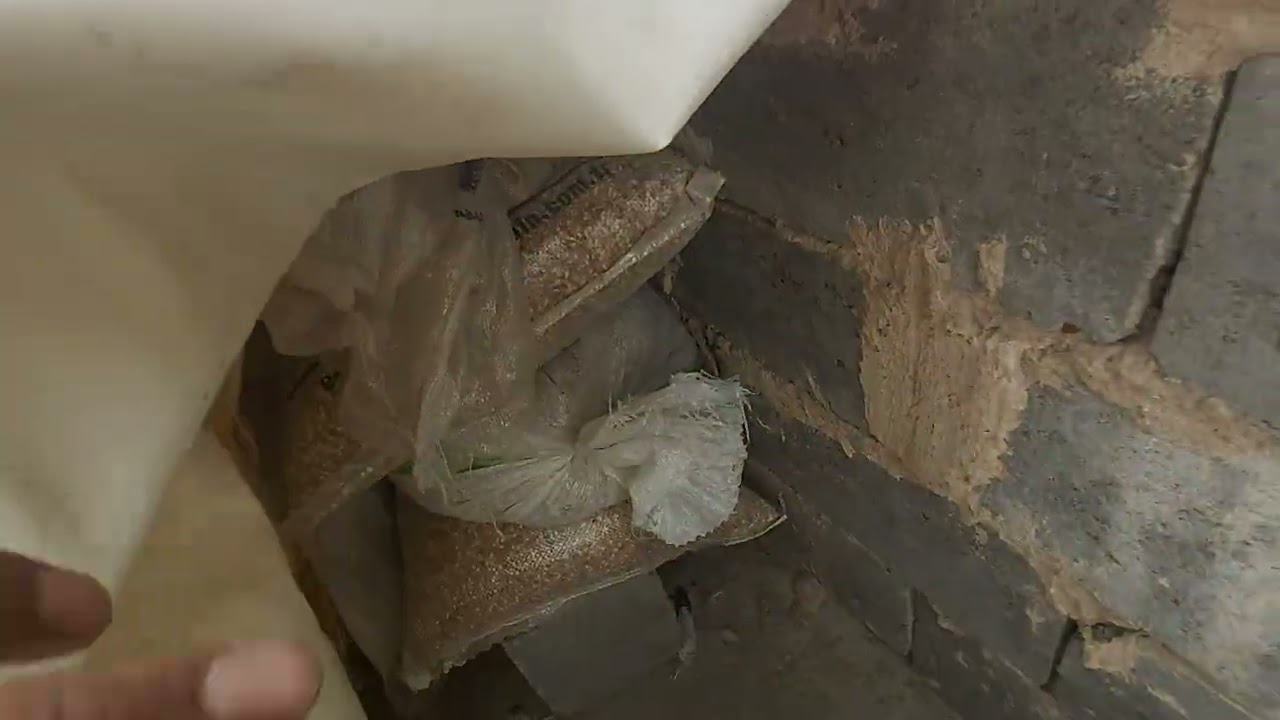 شلون تحافظ ع طيورك من أجواء الصيف