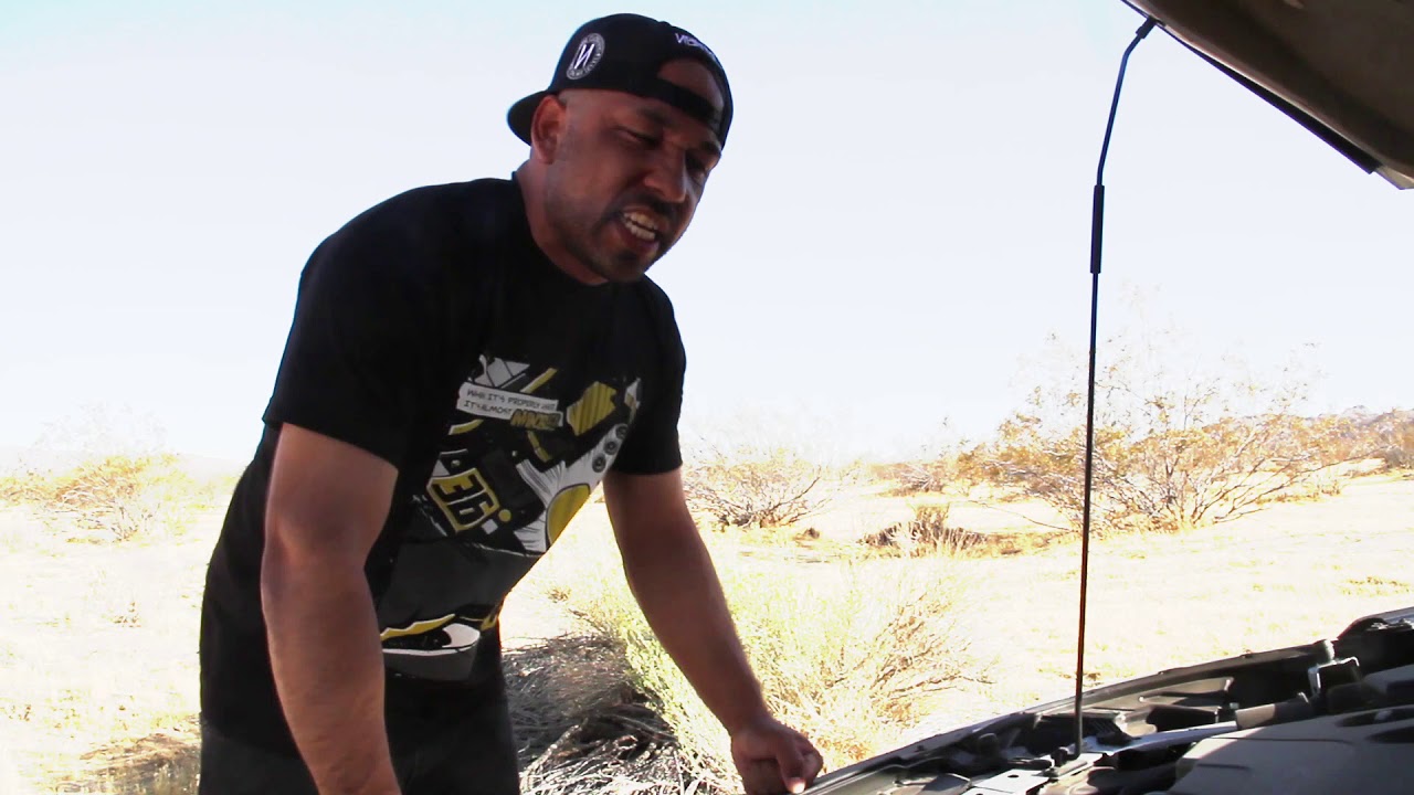 Panthera Leo -Charlie