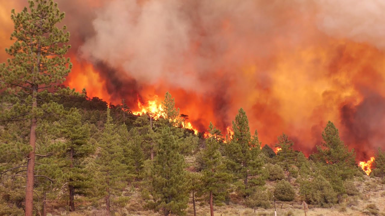 Markleeville CA #TamarackFire July 17.2021