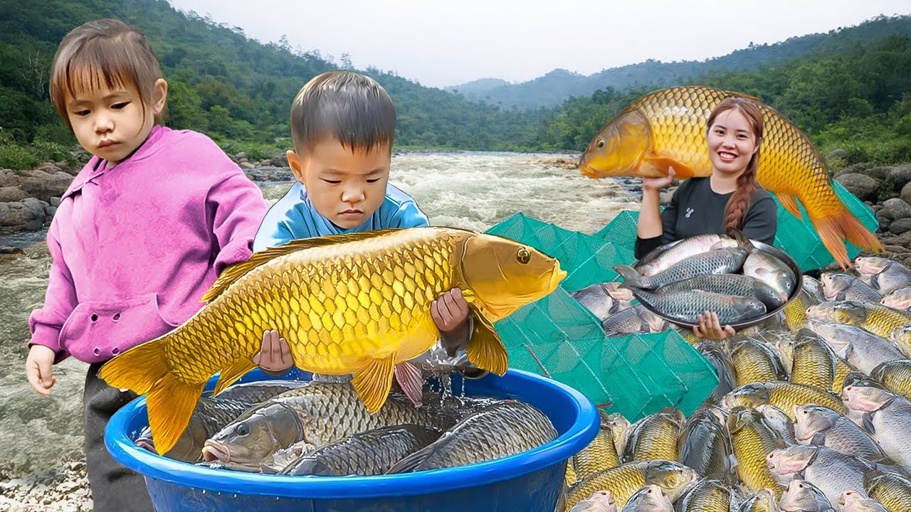 Bumper Fish Catch using Traditional Trap Methods. Fishing Trip of Duong and Nhi, Khoi | Village Life