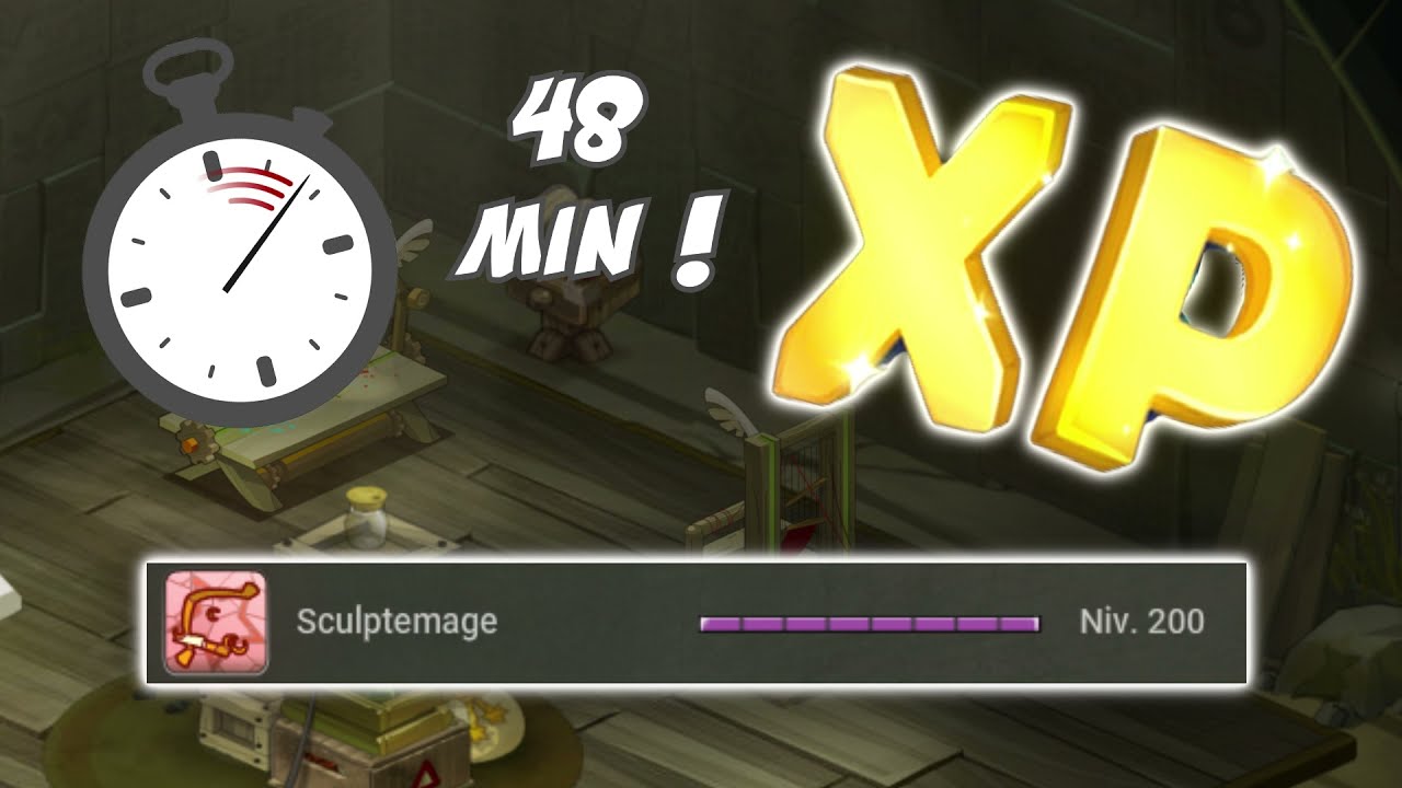 [DOFUS] Up SCULPTEMAGE 200 en moins de 50 MIN avec moins de 5M ! (3M en vendant les items)