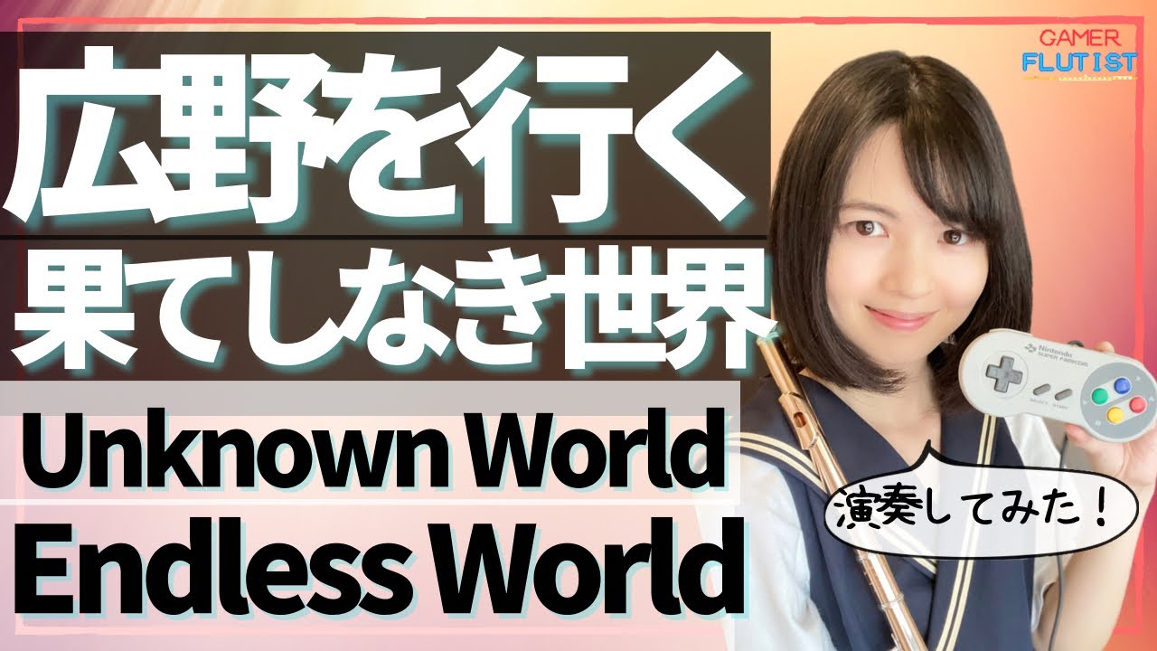 フルート多重録音【DQ1 2 広野を行く&果てしなき世界 Unknown World & Endless World】Dragon QuestⅠⅡ♪flute ensemble arrange♪