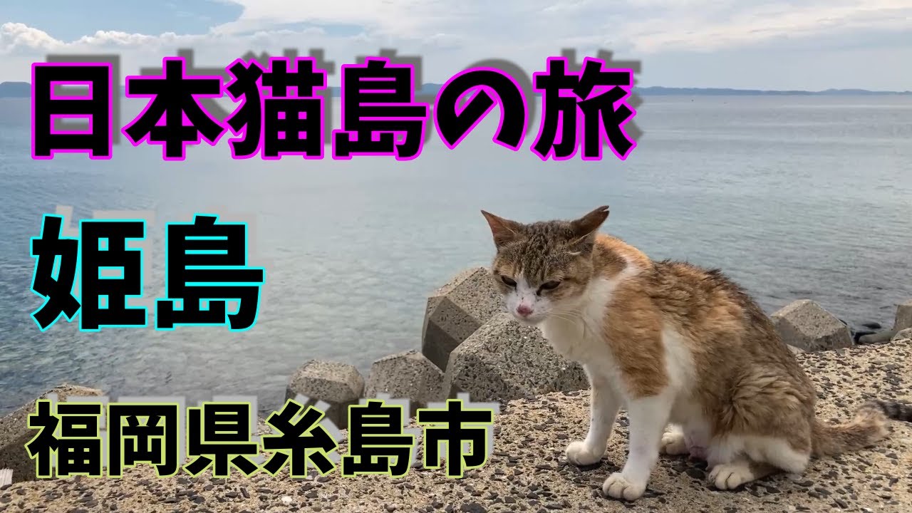 【日本猫島の旅】　福岡県糸島市「姫島」