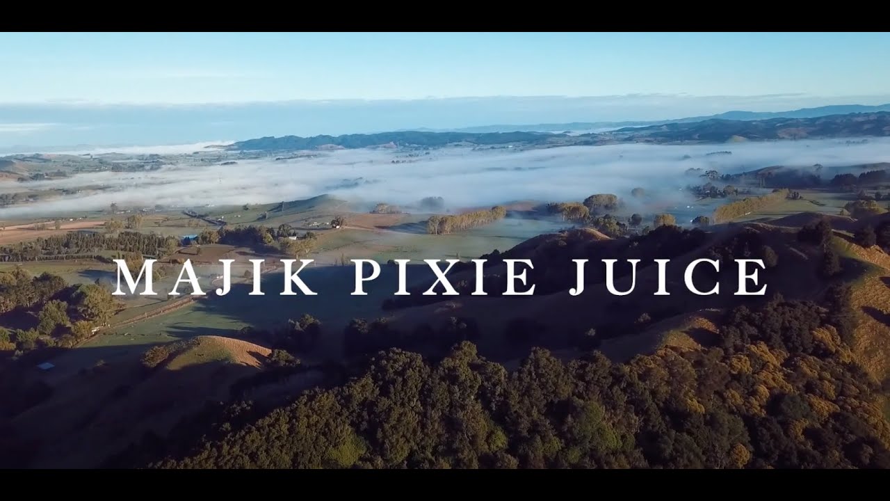 majik pixie juice  - The Past
