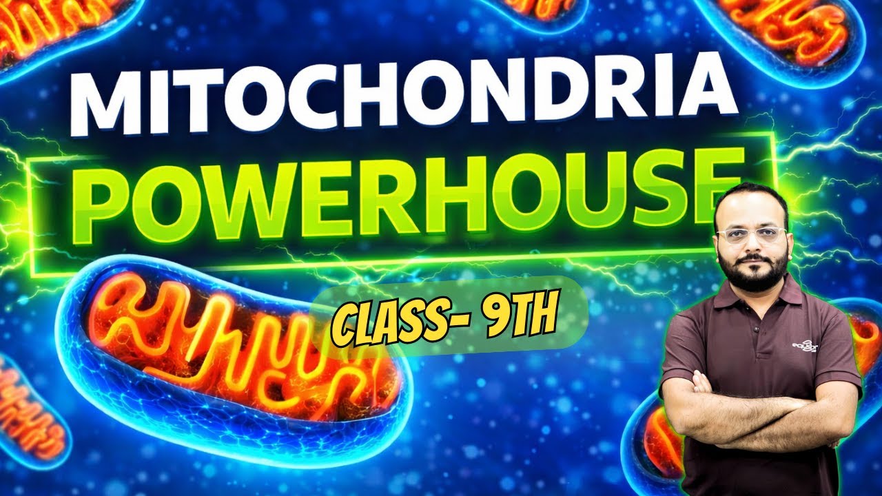 Mitochondria Explained: How Cells Make Energy (ATP) | Karan Sir | Equation Nsb Sir
