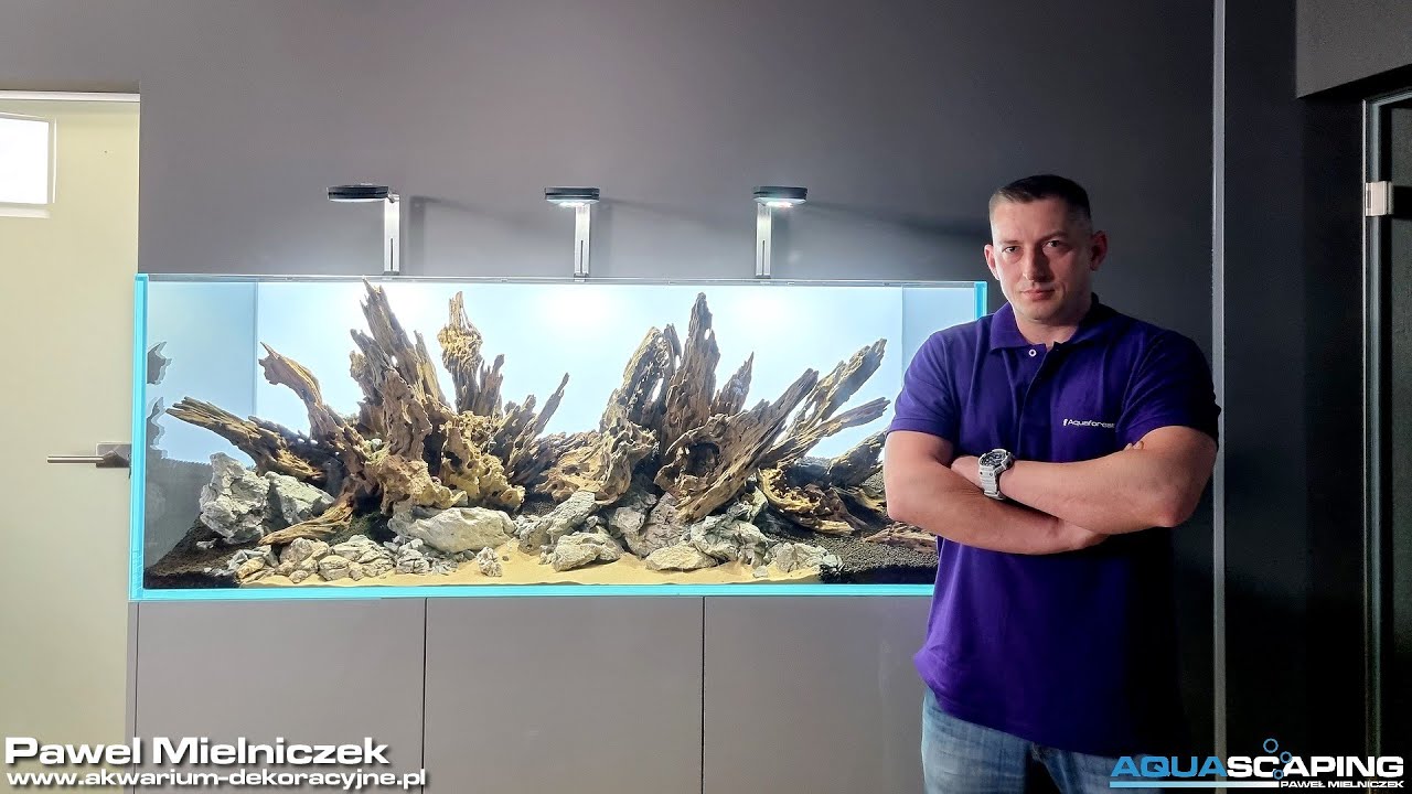 160x60x60 Nature aquarium Step by Step Aquascaping Paweł Mielniczek