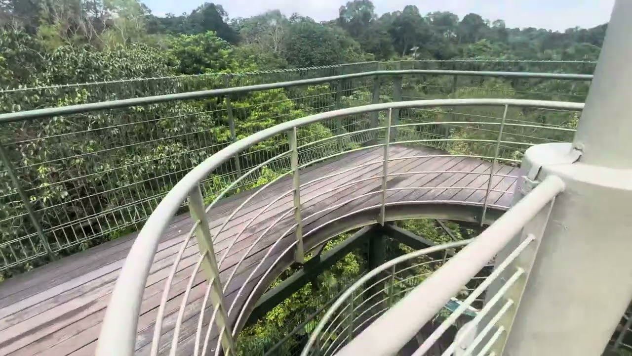 Jelutong Tower in MacRitchie Reservoir in Singapore. Let&rsquo;s Make Life Simple.😀