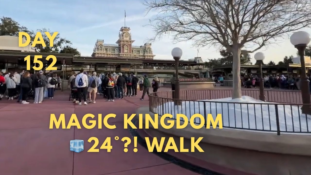 🔴 LIVE: 24°F at Magic Kingdom ❄️ Calm Morning Walk (Day 152)