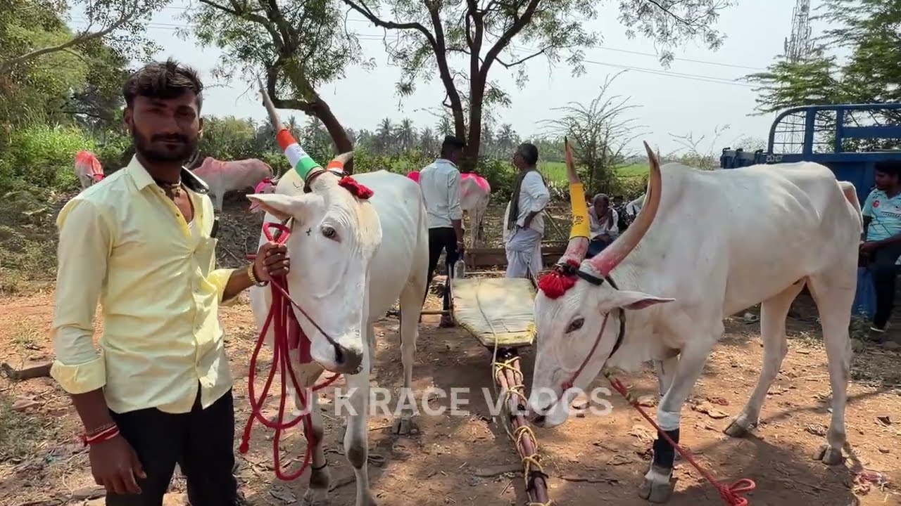 ಮನ್ನಿಕೇರಿ 16,000/- minute ಮೈದಾನ | Mannikeri Timing maidan | 