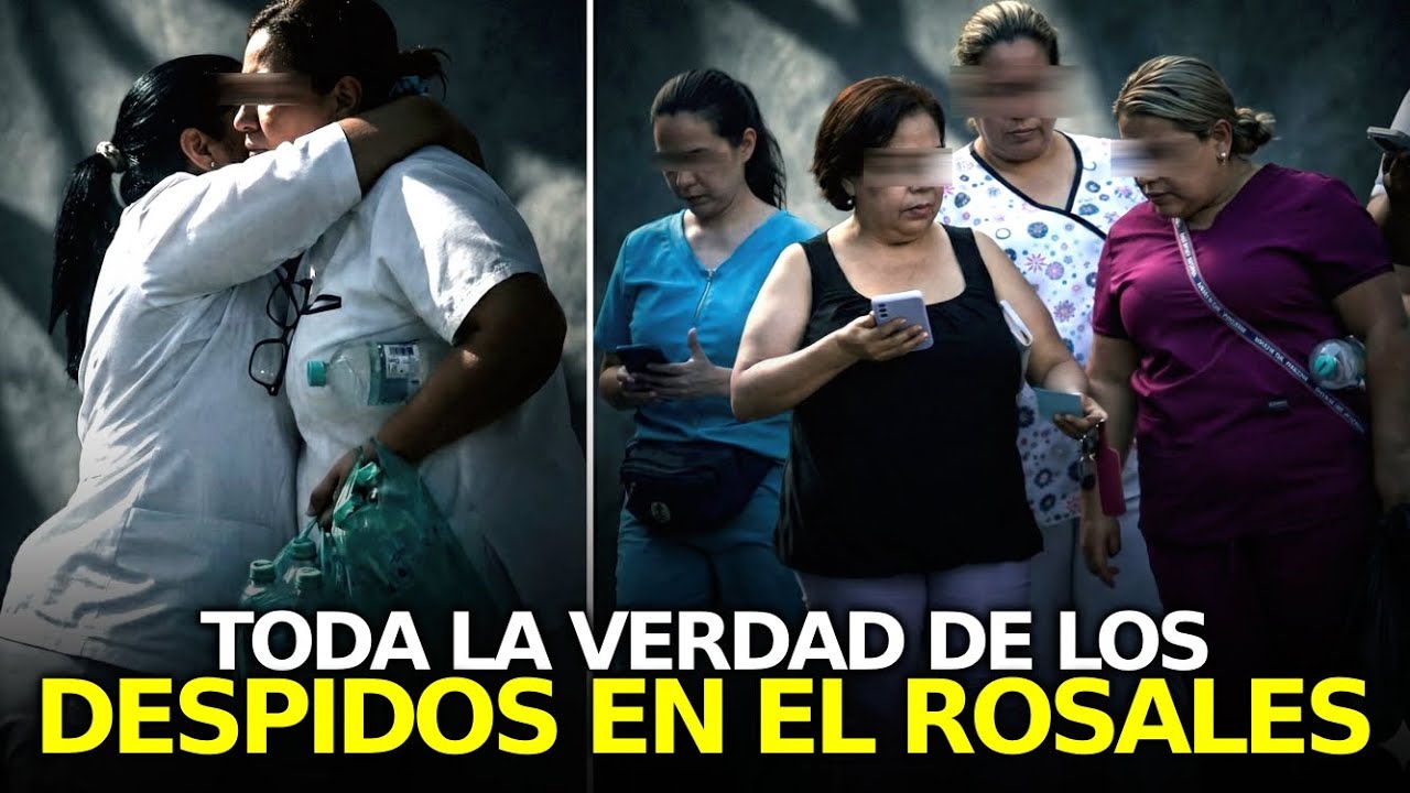 Lo Que No Te Cuentan Sobre Los Despidos Del Hospital Rosales