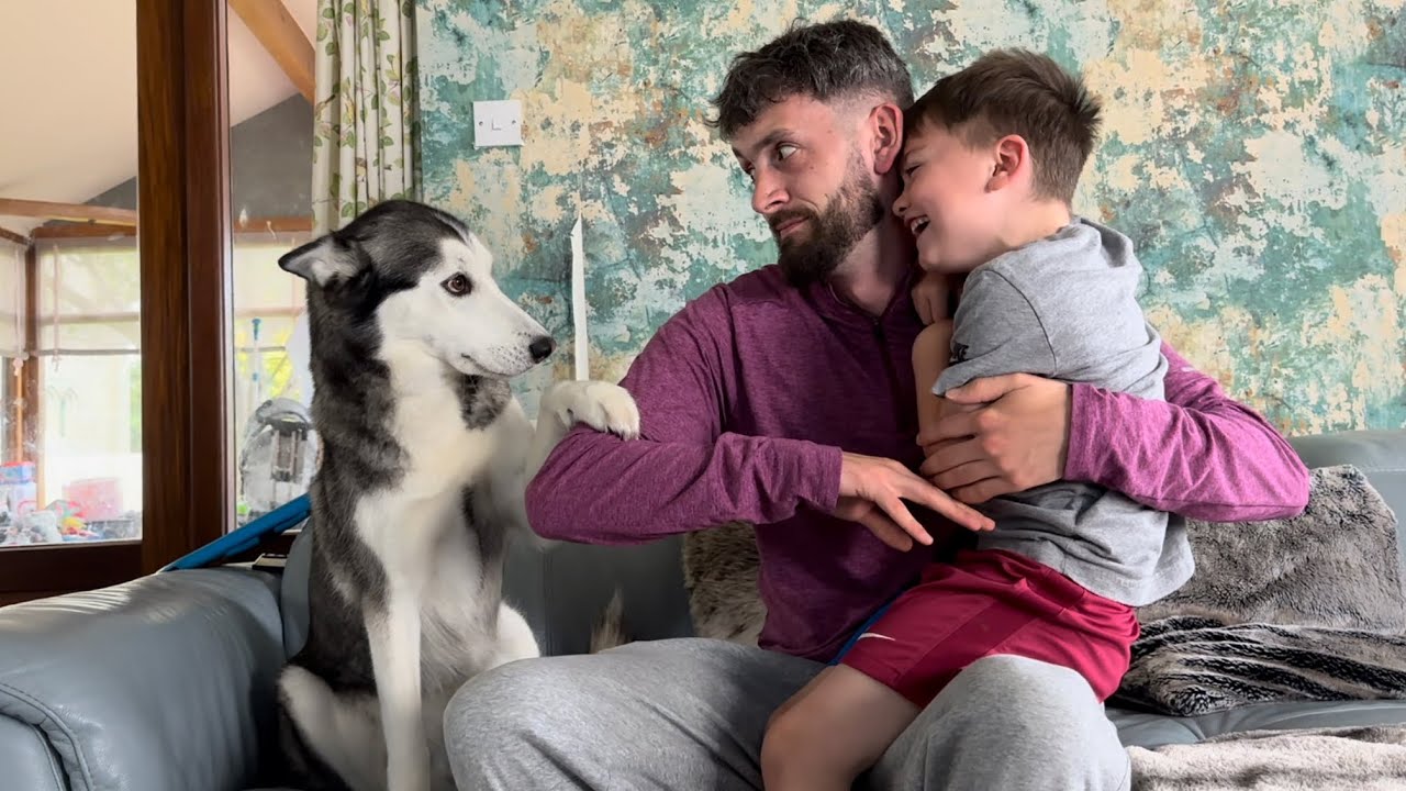 The Most JEALOUS Husky EVERR!!😂😂. [TRY NOT TO LAUGH!!!]