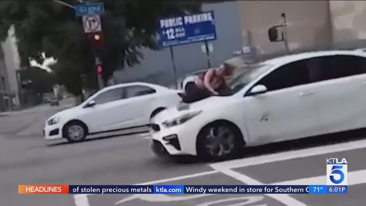 Woman clings to thieves' car after French bulldog stolen in downtown L.A.