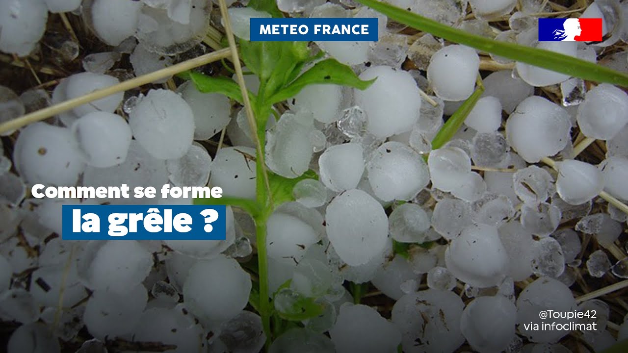 La gr&ecirc;le | M&Eacute;T&Eacute;O-FRANCE