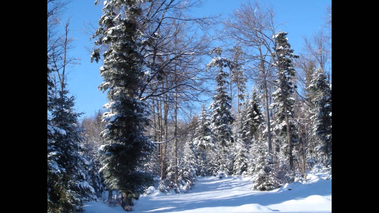 Illgau im Winter
