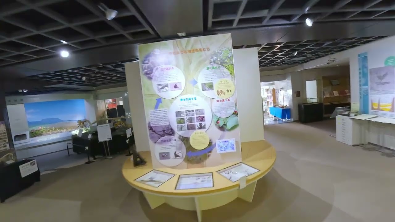 マイクロドローン映像① 福井市自然史博物館