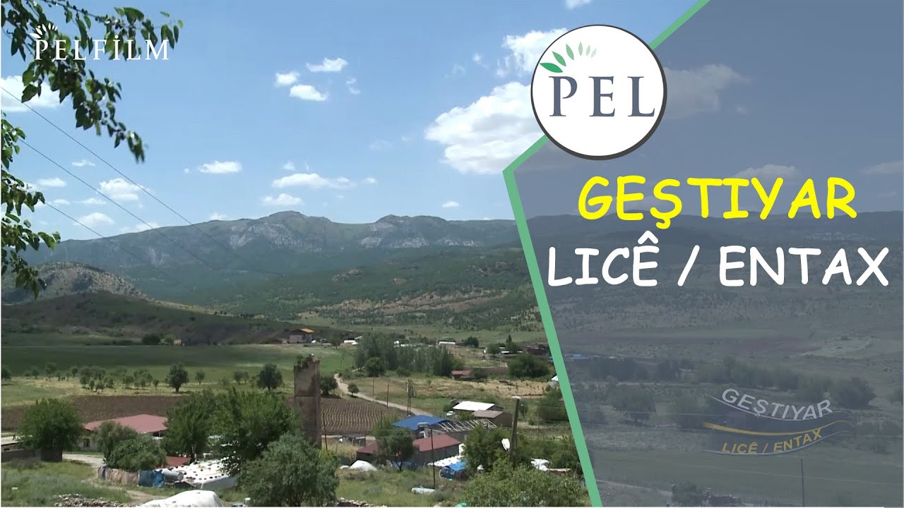 GEŞTIYAR - LICÊ / ENTAX