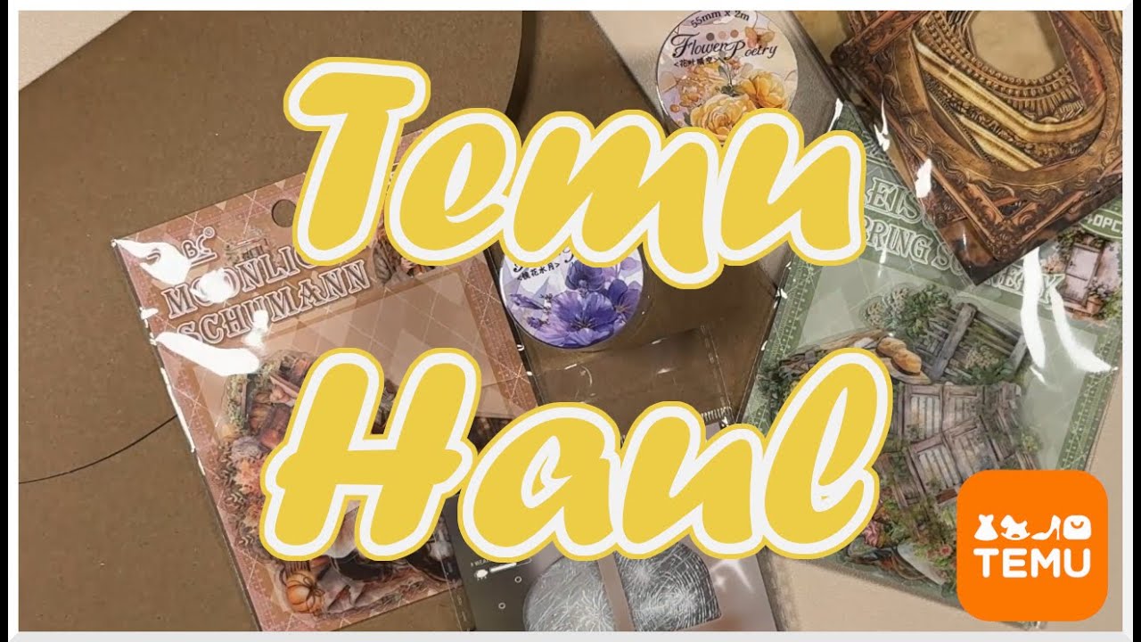 Ein viel zu großer Temu Haul || Temu || Die besten Scrapbook-Funde || August 2025