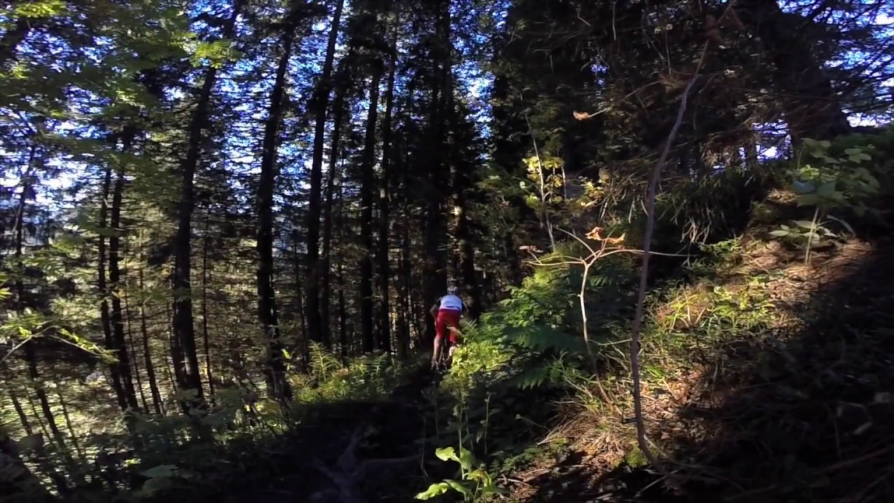 GoPro: Mountain Bike Movie. Gantrisch