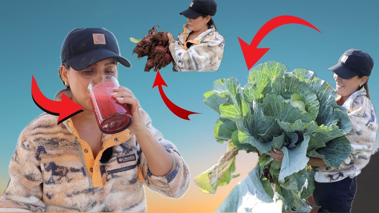 Jugo de Betabel Con Verduras de La Huerta