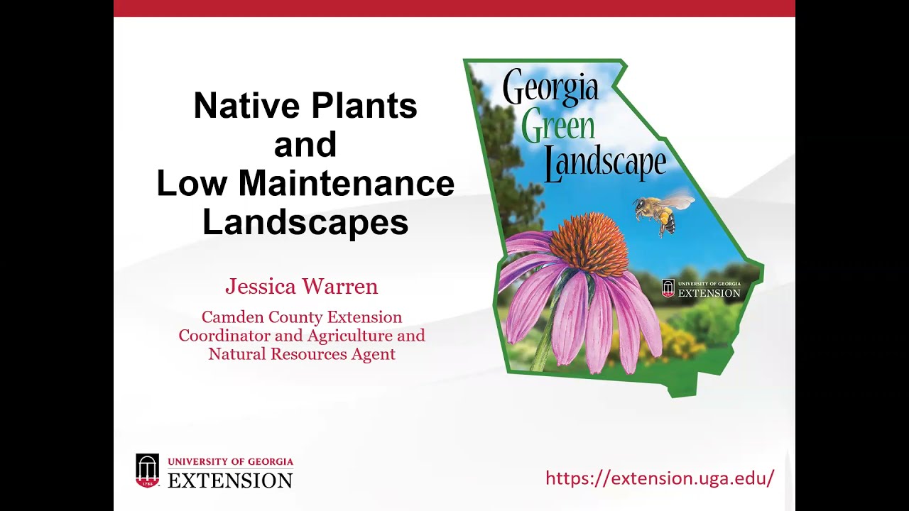 Native Plants (Statewide) and Low Maintenance Landscapes