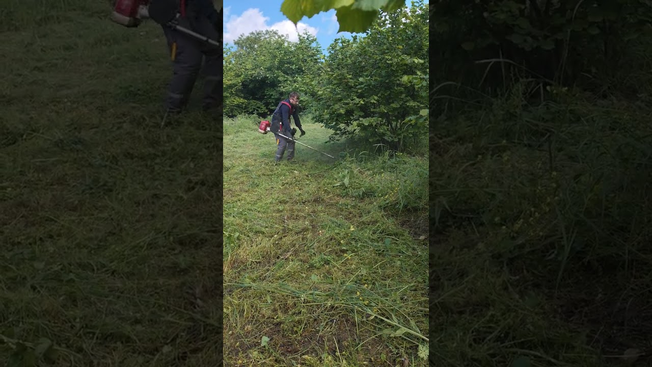 DAKKIN CG630 YAN TİP MOTORLU TIRPAN TEST