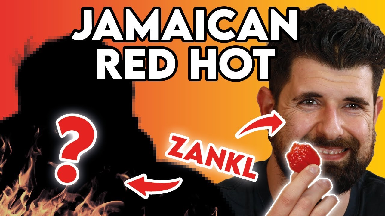 SCHARF & GROSS Jamaican Red Hot (Chili Verkostung mit JAKOB) | ZSV #12