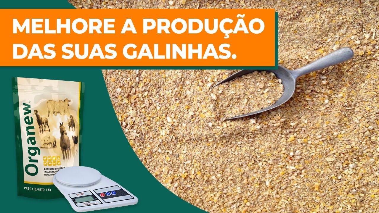 COMO MELHORAR A PRODUTIVIDADE DAS SUAS AVES - PREPARO DE RAÇÃO