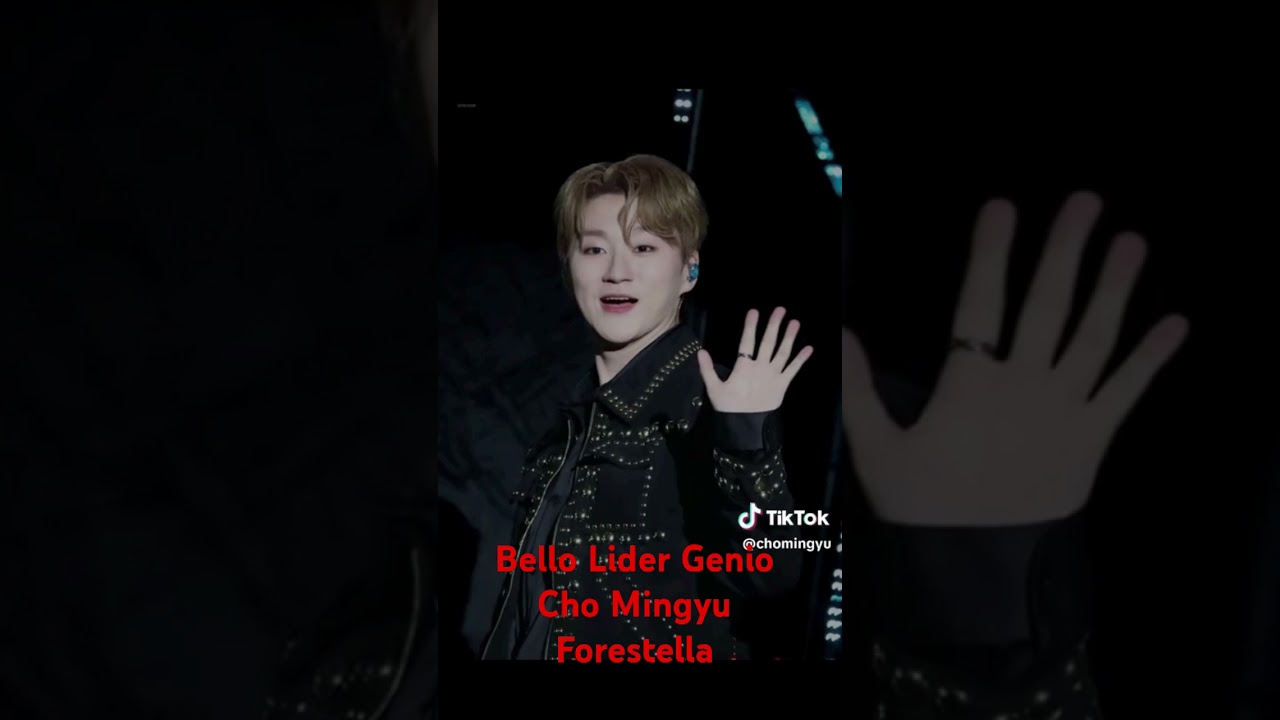 Líder Cho Mingyu Forestella