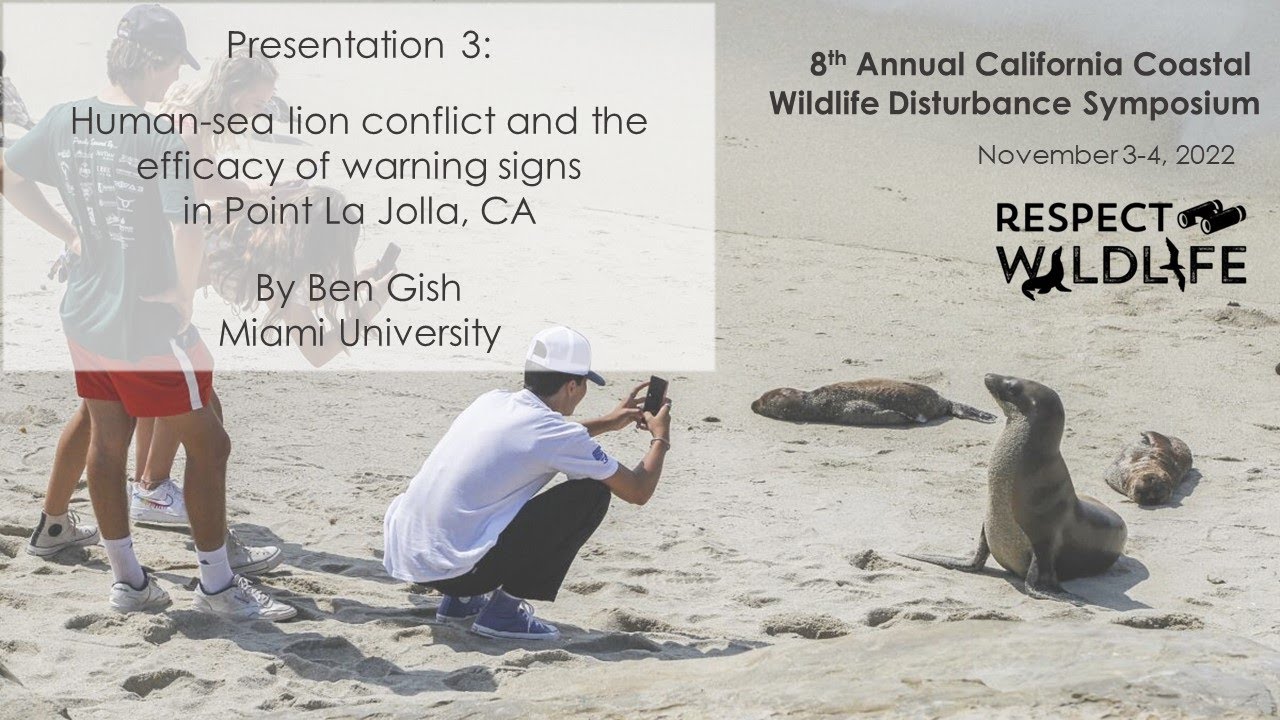 8th CCWDS Talk 3: Human-sea lion conflict and the efficacy of warning signs in Point La Jolla, CA